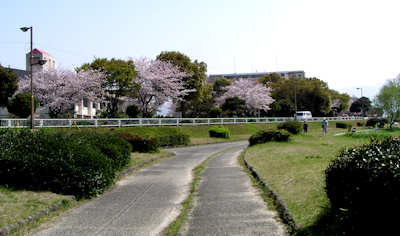 11040910.jpg