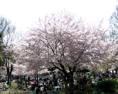 11041006.jpg