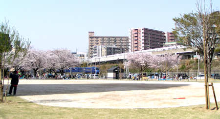 11041010.jpg
